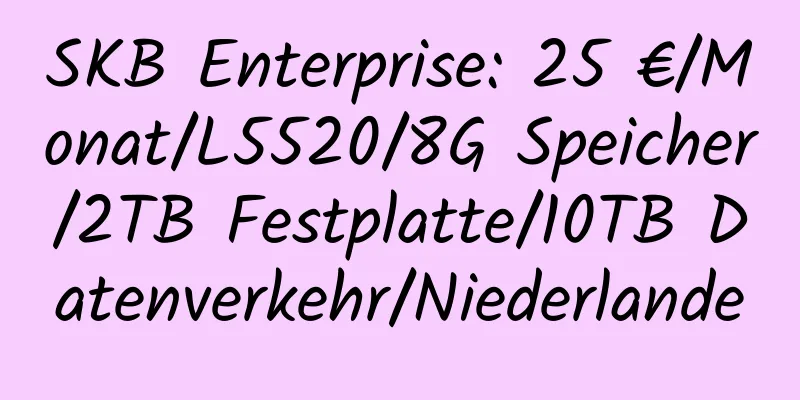 SKB Enterprise: 25 €/Monat/L5520/8G Speicher/2TB Festplatte/10TB Datenverkehr/Niederlande