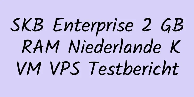 SKB Enterprise 2 GB RAM Niederlande KVM VPS Testbericht