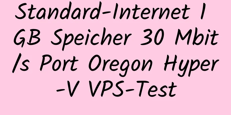 Standard-Internet 1 GB Speicher 30 Mbit/s Port Oregon Hyper-V VPS-Test