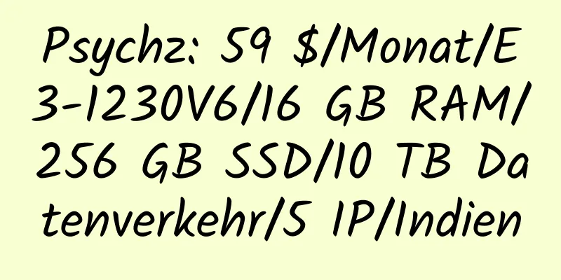 Psychz: 59 $/Monat/E3-1230V6/16 GB RAM/256 GB SSD/10 TB Datenverkehr/5 IP/Indien