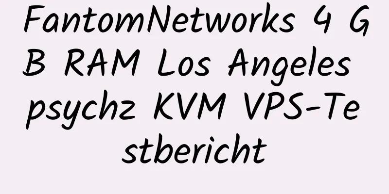 FantomNetworks 4 GB RAM Los Angeles psychz KVM VPS-Testbericht