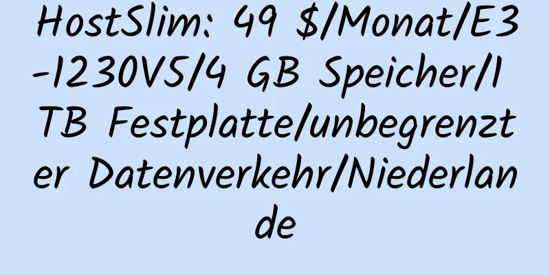 HostSlim: 49 $/Monat/E3-1230V5/4 GB Speicher/1 TB Festplatte/unbegrenzter Datenverkehr/Niederlande