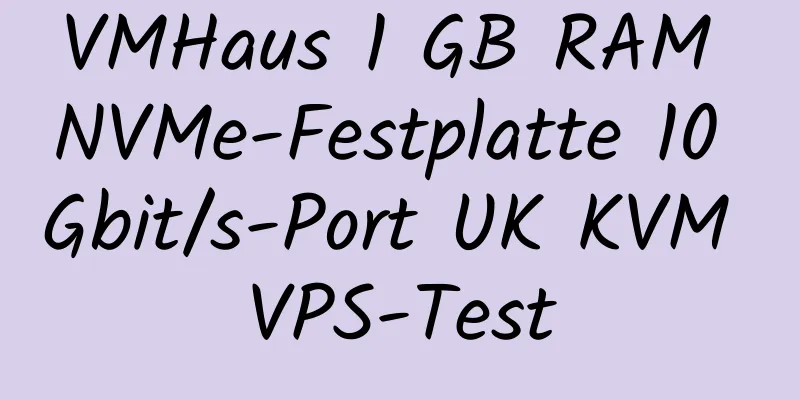 VMHaus 1 GB RAM NVMe-Festplatte 10 Gbit/s-Port UK KVM VPS-Test