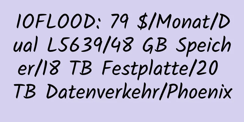 IOFLOOD: 79 $/Monat/Dual L5639/48 GB Speicher/18 TB Festplatte/20 TB Datenverkehr/Phoenix