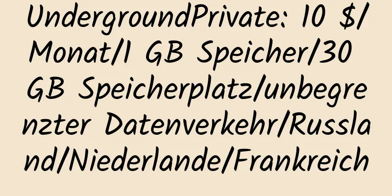 UndergroundPrivate: 10 $/Monat/1 GB Speicher/30 GB Speicherplatz/unbegrenzter Datenverkehr/Russland/Niederlande/Frankreich