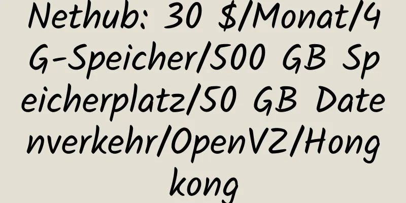 Nethub: 30 $/Monat/4G-Speicher/500 GB Speicherplatz/50 GB Datenverkehr/OpenVZ/Hongkong