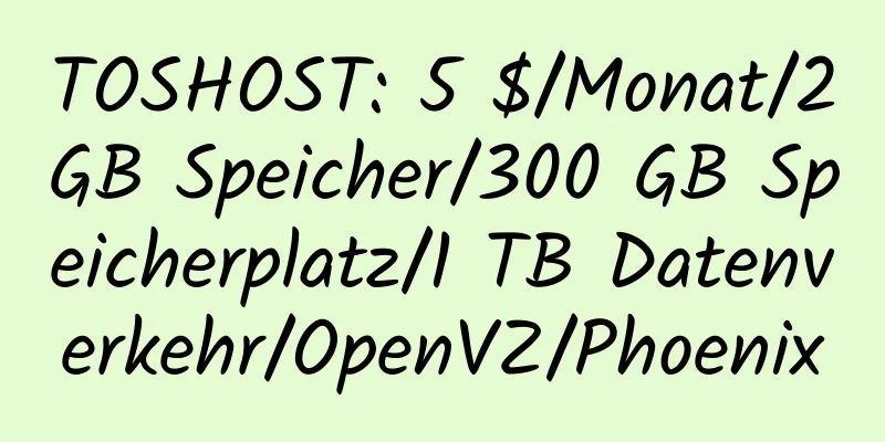 TOSHOST: 5 $/Monat/2 GB Speicher/300 GB Speicherplatz/1 TB Datenverkehr/OpenVZ/Phoenix