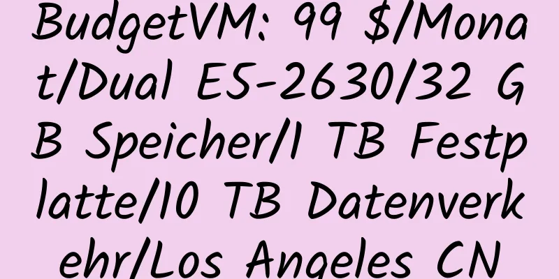 BudgetVM: 99 $/Monat/Dual E5-2630/32 GB Speicher/1 TB Festplatte/10 TB Datenverkehr/Los Angeles CN