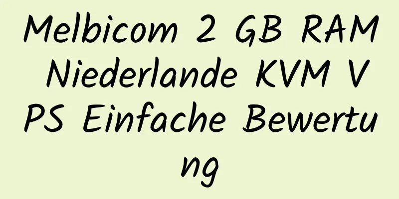 Melbicom 2 GB RAM Niederlande KVM VPS Einfache Bewertung