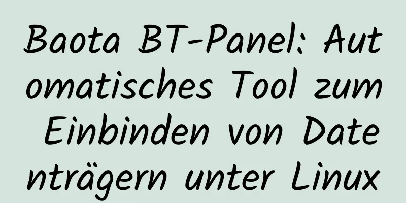 Baota BT-Panel: Automatisches Tool zum Einbinden von Datenträgern unter Linux