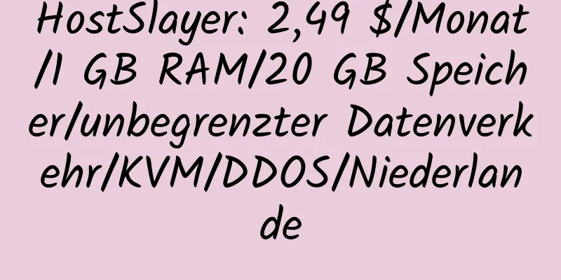 HostSlayer: 2,49 $/Monat/1 GB RAM/20 GB Speicher/unbegrenzter Datenverkehr/KVM/DDOS/Niederlande