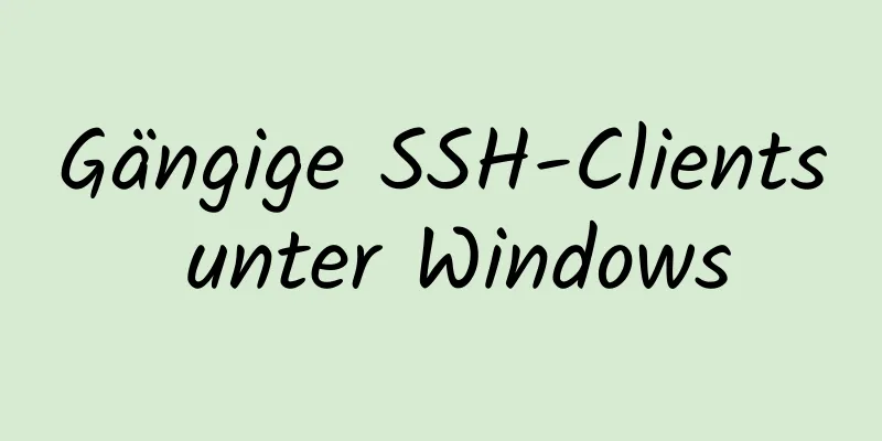 Gängige SSH-Clients unter Windows