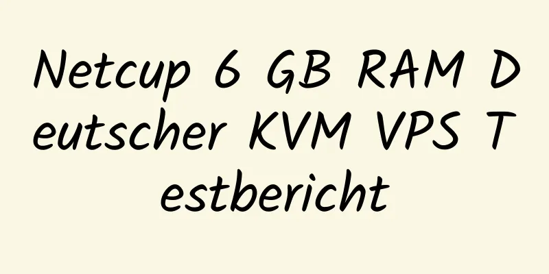 Netcup 6 GB RAM Deutscher KVM VPS Testbericht