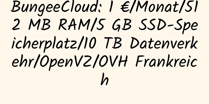 BungeeCloud: 1 €/Monat/512 MB RAM/5 GB SSD-Speicherplatz/10 TB Datenverkehr/OpenVZ/OVH Frankreich