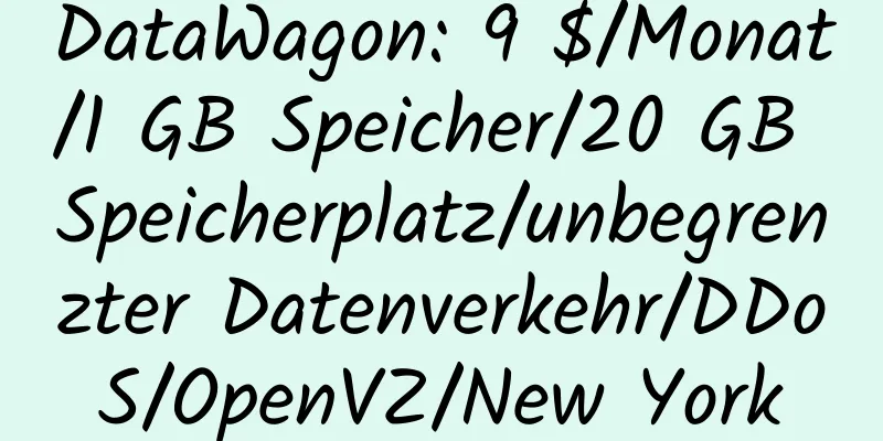 DataWagon: 9 $/Monat/1 GB Speicher/20 GB Speicherplatz/unbegrenzter Datenverkehr/DDoS/OpenVZ/New York