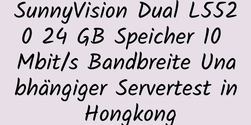 SunnyVision Dual L5520 24 GB Speicher 10 Mbit/s Bandbreite Unabhängiger Servertest in Hongkong