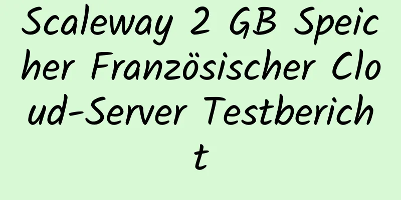 Scaleway 2 GB Speicher Französischer Cloud-Server Testbericht