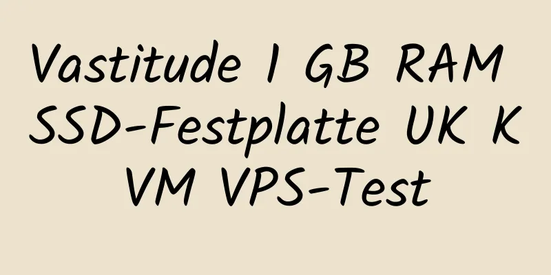 Vastitude 1 GB RAM SSD-Festplatte UK KVM VPS-Test