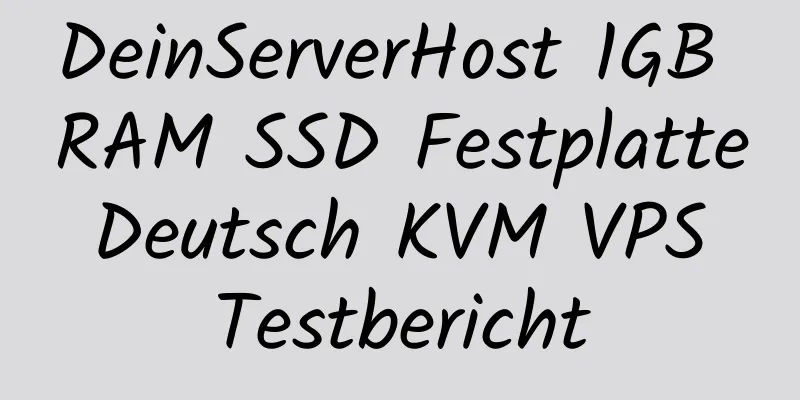 DeinServerHost 1GB RAM SSD Festplatte Deutsch KVM VPS Testbericht