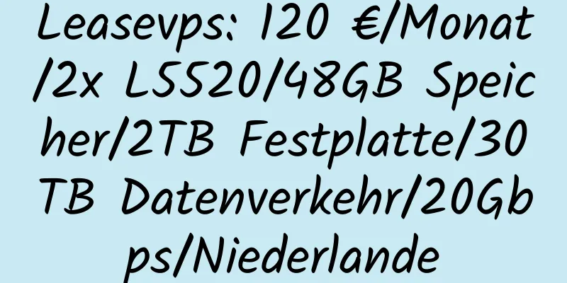 Leasevps: 120 €/Monat/2x L5520/48GB Speicher/2TB Festplatte/30TB Datenverkehr/20Gbps/Niederlande