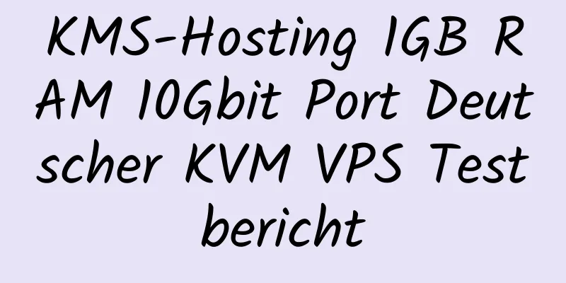 KMS-Hosting 1GB RAM 10Gbit Port Deutscher KVM VPS Testbericht