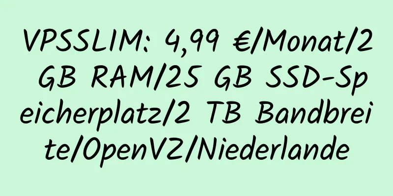 VPSSLIM: 4,99 €/Monat/2 GB RAM/25 GB SSD-Speicherplatz/2 TB Bandbreite/OpenVZ/Niederlande