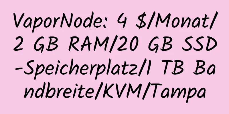 VaporNode: 4 $/Monat/2 GB RAM/20 GB SSD-Speicherplatz/1 TB Bandbreite/KVM/Tampa