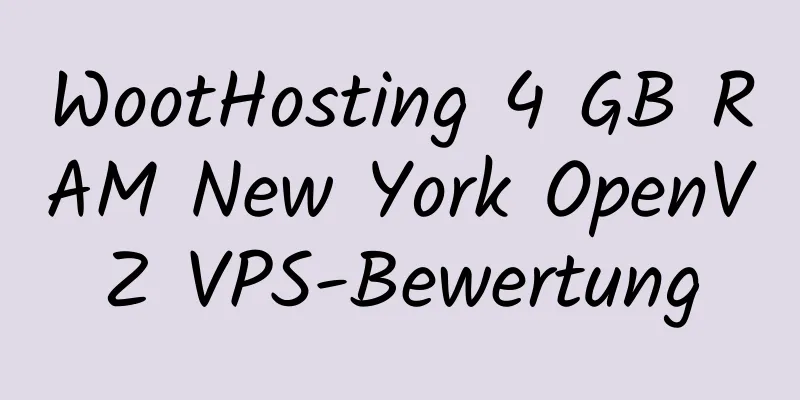 WootHosting 4 GB RAM New York OpenVZ VPS-Bewertung