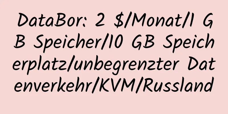 DataBor: 2 $/Monat/1 GB Speicher/10 GB Speicherplatz/unbegrenzter Datenverkehr/KVM/Russland