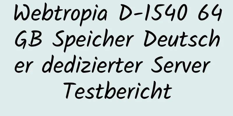 Webtropia D-1540 64GB Speicher Deutscher dedizierter Server Testbericht