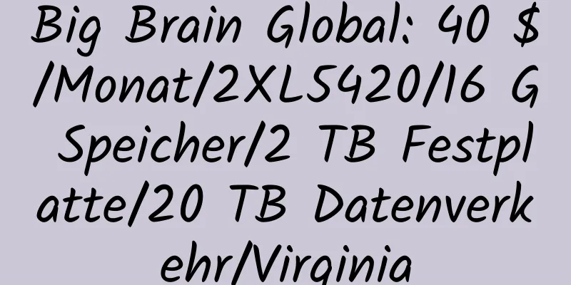 Big Brain Global: 40 $/Monat/2XL5420/16 G Speicher/2 TB Festplatte/20 TB Datenverkehr/Virginia