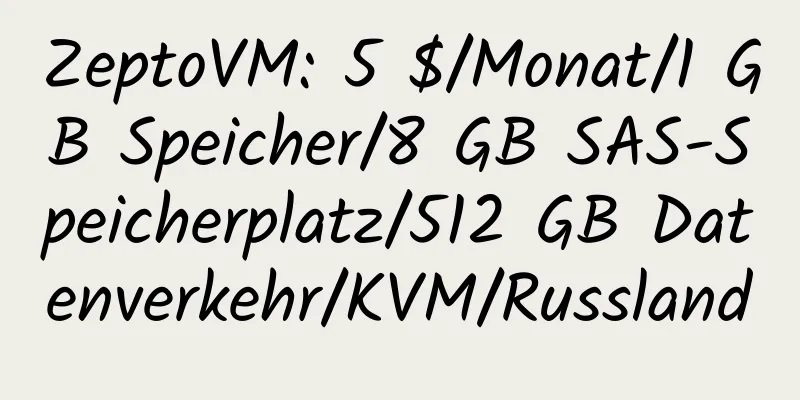 ZeptoVM: 5 $/Monat/1 GB Speicher/8 GB SAS-Speicherplatz/512 GB Datenverkehr/KVM/Russland