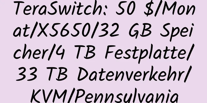 TeraSwitch: 50 $/Monat/X5650/32 GB Speicher/4 TB Festplatte/33 TB Datenverkehr/KVM/Pennsylvania