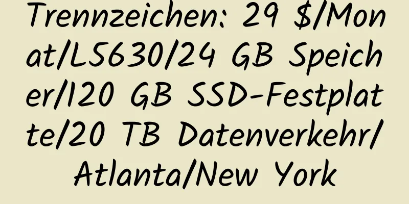 Trennzeichen: 29 $/Monat/L5630/24 GB Speicher/120 GB SSD-Festplatte/20 TB Datenverkehr/Atlanta/New York