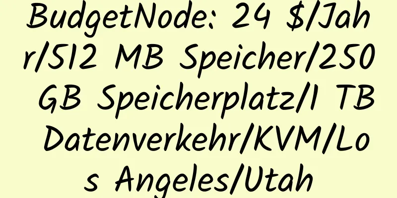 BudgetNode: 24 $/Jahr/512 MB Speicher/250 GB Speicherplatz/1 TB Datenverkehr/KVM/Los Angeles/Utah