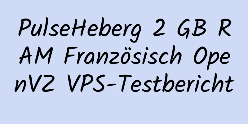 PulseHeberg 2 GB RAM Französisch OpenVZ VPS-Testbericht