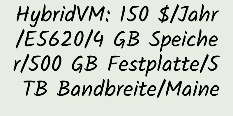 HybridVM: 150 $/Jahr/E5620/4 GB Speicher/500 GB Festplatte/5 TB Bandbreite/Maine