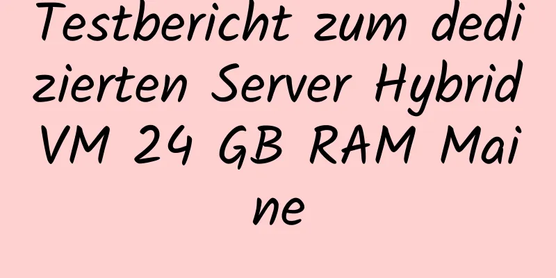 Testbericht zum dedizierten Server HybridVM 24 GB RAM Maine