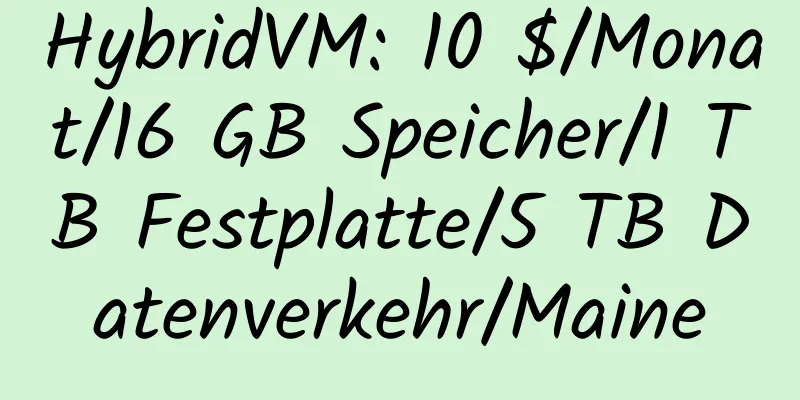 HybridVM: 10 $/Monat/16 GB Speicher/1 TB Festplatte/5 TB Datenverkehr/Maine