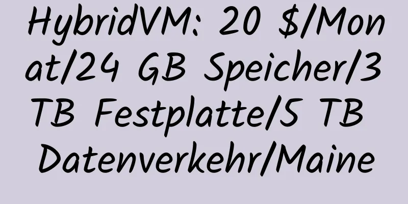 HybridVM: 20 $/Monat/24 GB Speicher/3 TB Festplatte/5 TB Datenverkehr/Maine