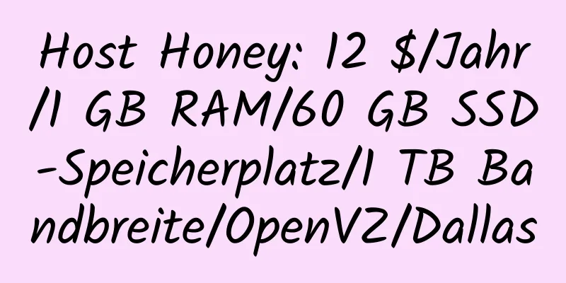 Host Honey: 12 $/Jahr/1 GB RAM/60 GB SSD-Speicherplatz/1 TB Bandbreite/OpenVZ/Dallas