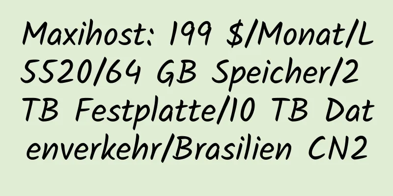 Maxihost: 199 $/Monat/L5520/64 GB Speicher/2 TB Festplatte/10 TB Datenverkehr/Brasilien CN2