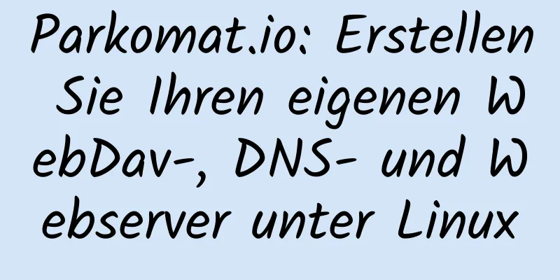 Parkomat.io: Erstellen Sie Ihren eigenen WebDav-, DNS- und Webserver unter Linux