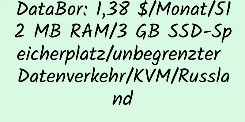 DataBor: 1,38 $/Monat/512 MB RAM/3 GB SSD-Speicherplatz/unbegrenzter Datenverkehr/KVM/Russland