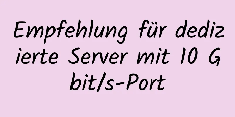 Empfehlung für dedizierte Server mit 10 Gbit/s-Port