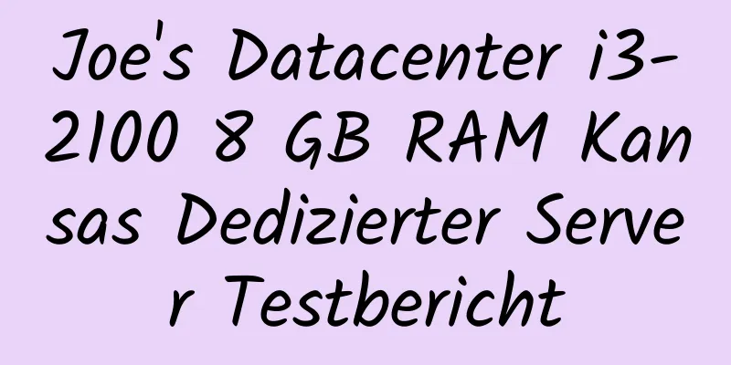 Joe's Datacenter i3-2100 8 GB RAM Kansas Dedizierter Server Testbericht