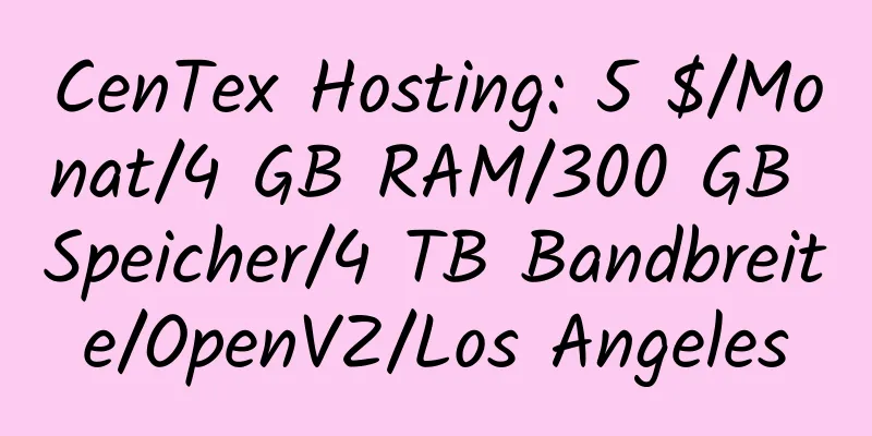 CenTex Hosting: 5 $/Monat/4 GB RAM/300 GB Speicher/4 TB Bandbreite/OpenVZ/Los Angeles