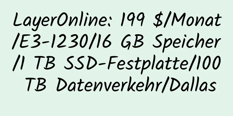 LayerOnline: 199 $/Monat/E3-1230/16 GB Speicher/1 TB SSD-Festplatte/100 TB Datenverkehr/Dallas