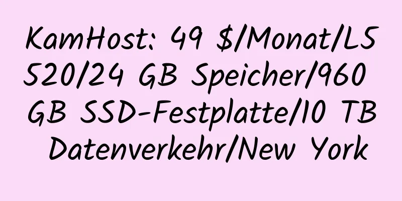 KamHost: 49 $/Monat/L5520/24 GB Speicher/960 GB SSD-Festplatte/10 TB Datenverkehr/New York