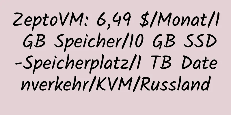 ZeptoVM: 6,49 $/Monat/1 GB Speicher/10 GB SSD-Speicherplatz/1 TB Datenverkehr/KVM/Russland